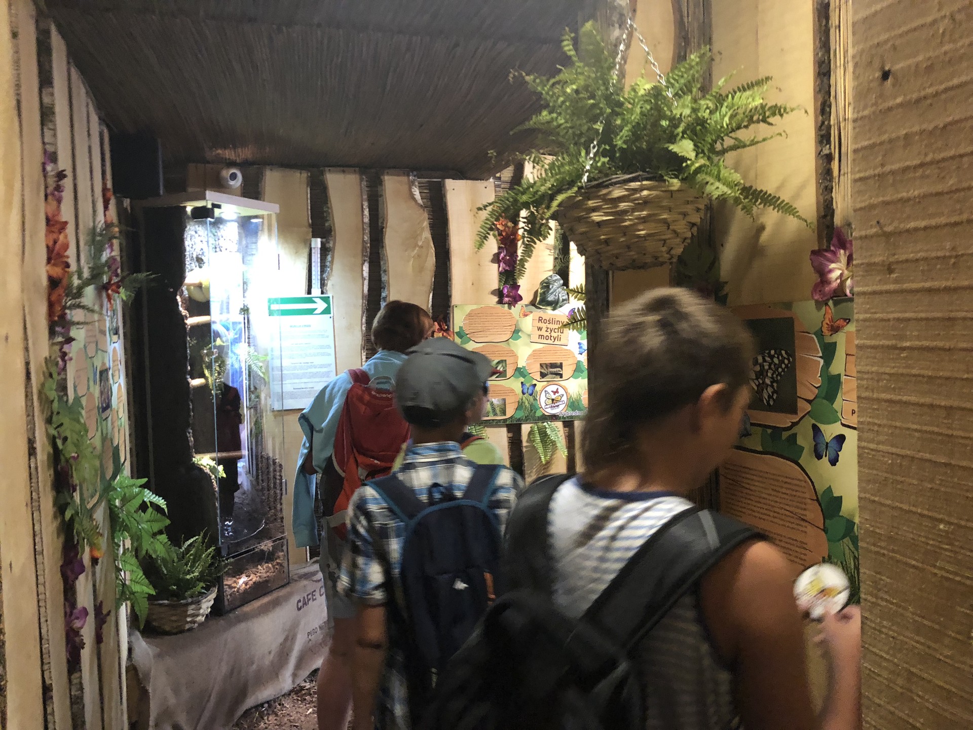 Kolonie 2018 dzień IX — zdjęcie 20